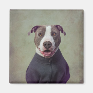 Shelter Pets Project - Major Good Boy Magnet