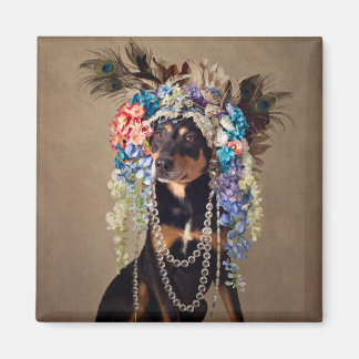 Shelter Pets Project - Midnight Magnet