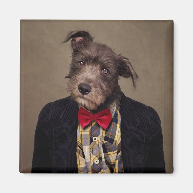 Shelter Pets Project - Ombré Magnet (Front)