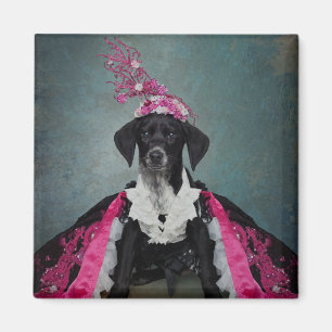 Shelter Pets Project - Pepper Magnet