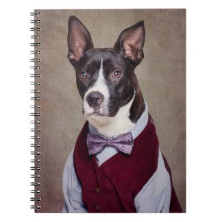 Shelter Pets Project - Petey Notebook