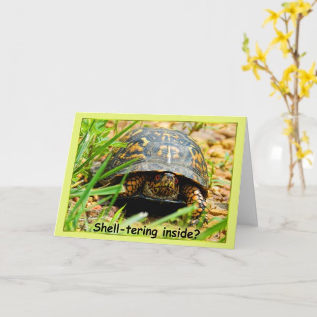 Sheltering Inside Turtle Card (Yellow Flower)