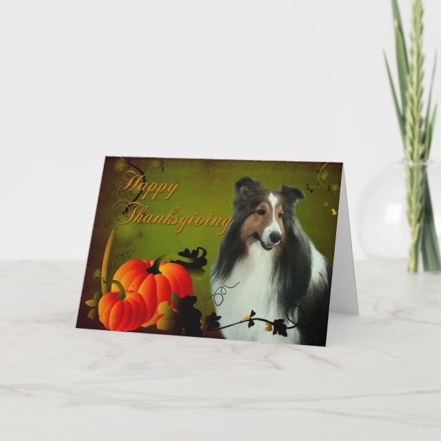 Sheltie #3 Thanksgiving Card (Front)