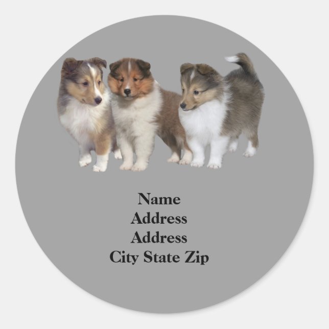 Sheltie Address Label (Front)