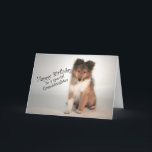 Sheltie Birthday Card for Granddaughter<br><div class="desc">This adorable Shetland Sheepdog puppy birthday card is almost as adorable as your granddaughter!</div>