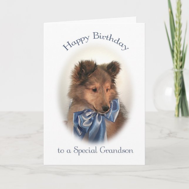 Sheltie Birthday Card for Grandson (Front)