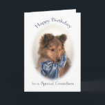 Sheltie Birthday Card for Grandson<br><div class="desc">This adorable Shetland Sheepdog puppy birthday card is almost as cute as your grandson!</div>