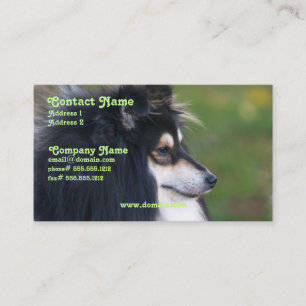 Sheltie Business Card