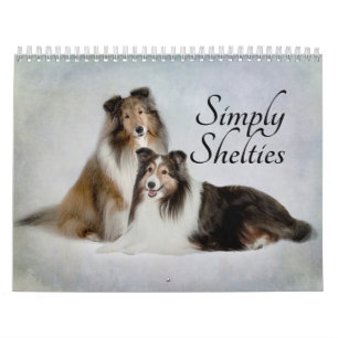 Sheltie Calendar
