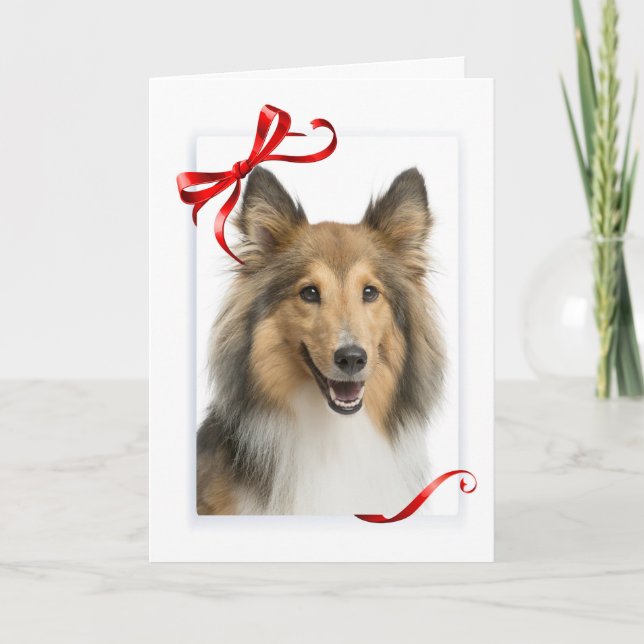 Sheltie Christmas Card (Front)