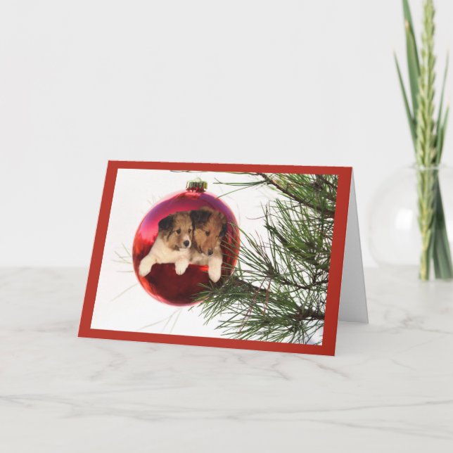 Sheltie Christmas Card Ball Hanging (Front)