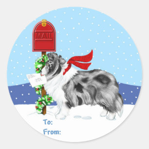 Sheltie Christmas Mail Bi Blue Gift Tags