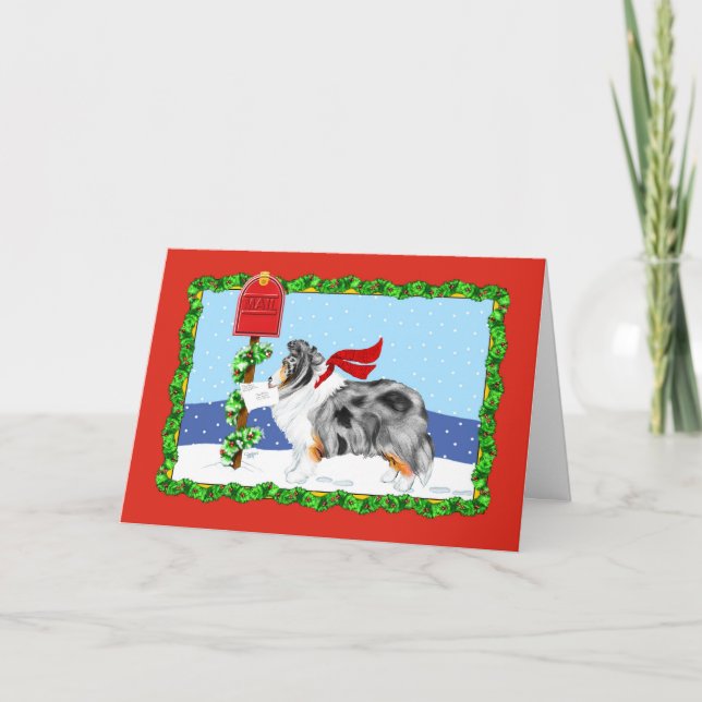 Sheltie Christmas Mail Blue Merle Holiday Card (Front)