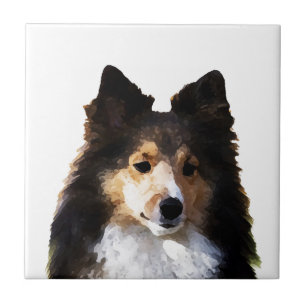 Sheltie Dog painting sketch Tile