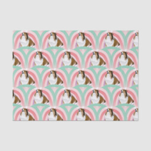 Sheltie Dog Rainbow Pink Birthday Tissue Paper