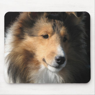 Sheltie face mouse pad