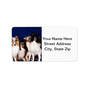 Sheltie Group Label