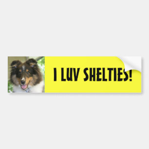 Sheltie, I LUV SHELTIES! Bumper Sticker