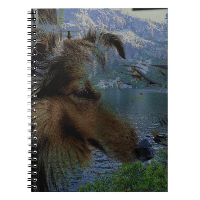 Sheltie Journal (Front)