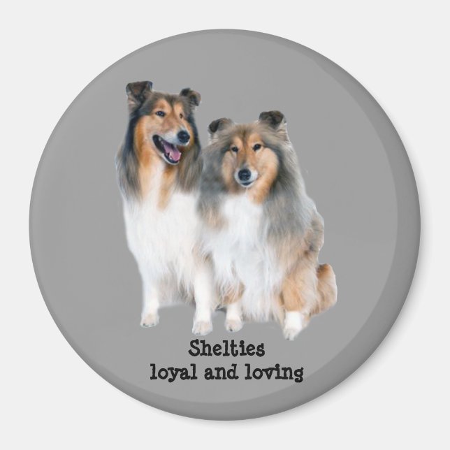 Sheltie Magnet (Front)