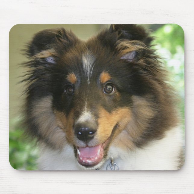 Sheltie Mousepad (Front)