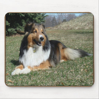 sheltie_mpad4 mouse pad