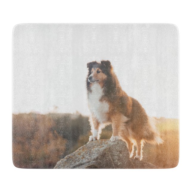 Sheltie on Cliff protecting heard during sunset Cutting Board (Front)