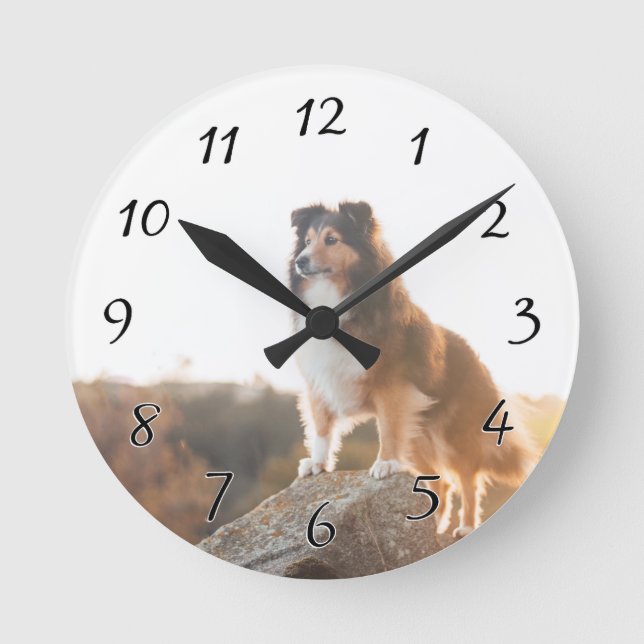 Sheltie on Cliff protectng heard during sunset Round Clock (Front)