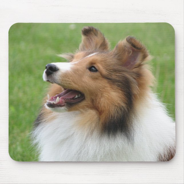 Sheltie on mousepad (Front)