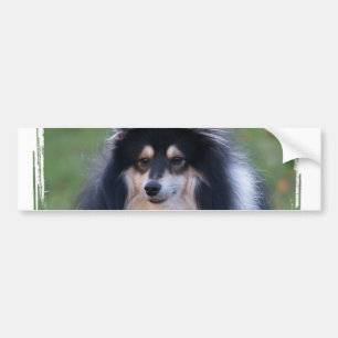Sheltie Photo Bumper Sticker