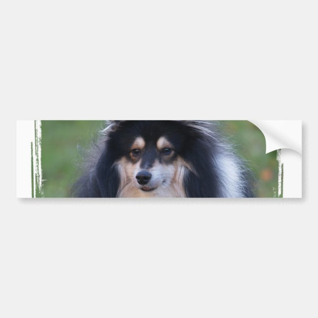 Sheltie Photo Bumper Sticker (Front)