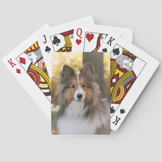 Sheltie Playing Cards (Back)
