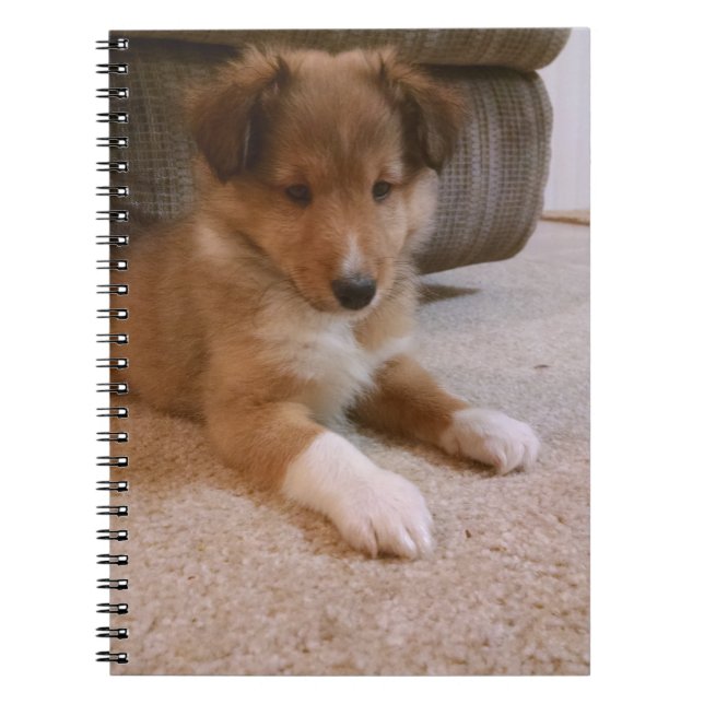 sheltie puppy notebook (Front)