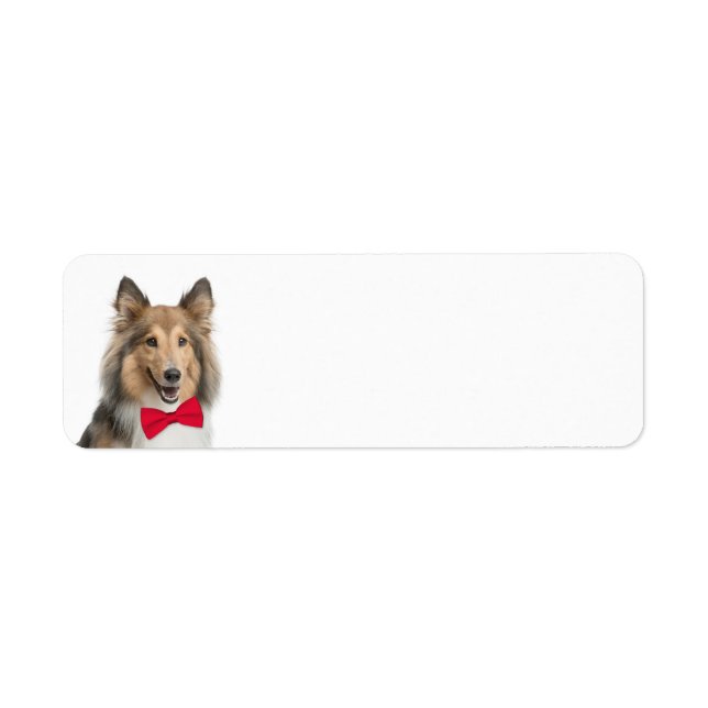 Sheltie Return Address Label (Front)