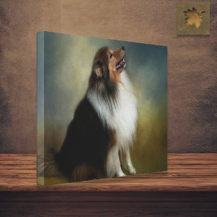 Sheltie Shetland Sheep Dog Canvas Print