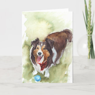 Sheltie/Shetland Sheep Dog Greeting Card