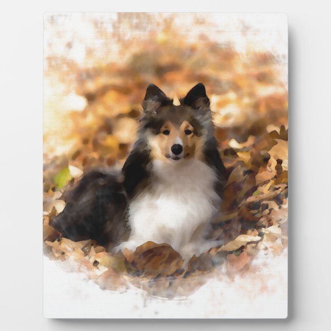 Sheltie Shetland Sheepdog Art Painting Plaque (Front)