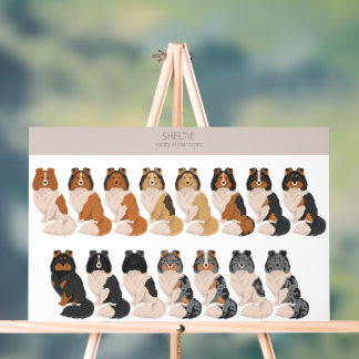 Sheltie, Shetland Sheepdog dog mix Acrylic Sign