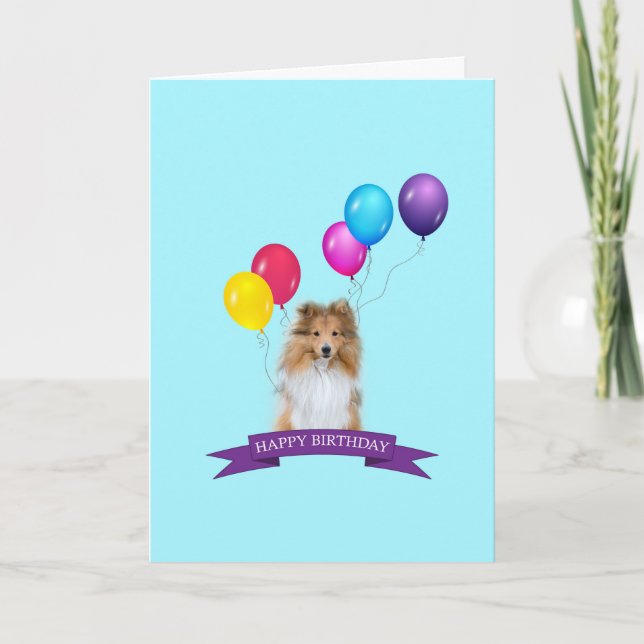 Sheltie Shetland Sheepdog Happy Birthday Card (Front)