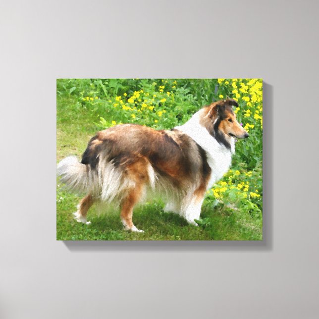 Sheltie Shetland Sheepdog Painting Canvas Print (Front)
