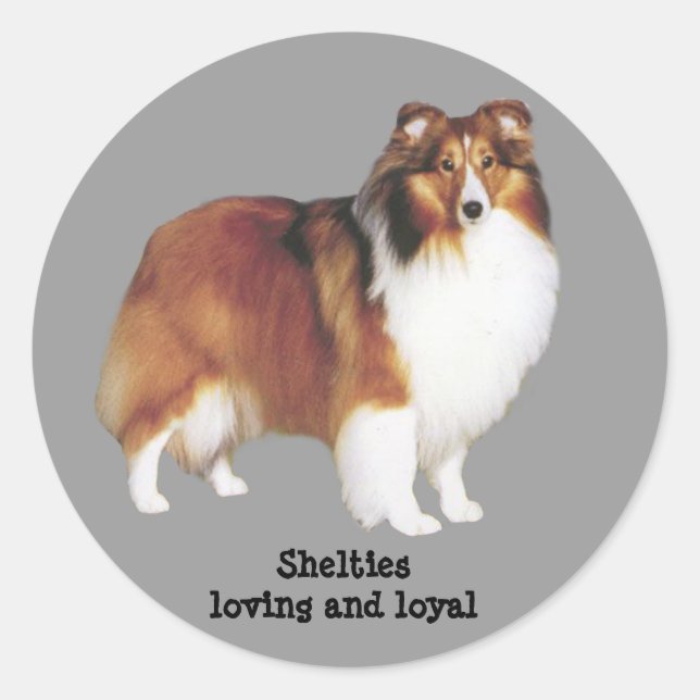 Sheltie Sticker (Front)
