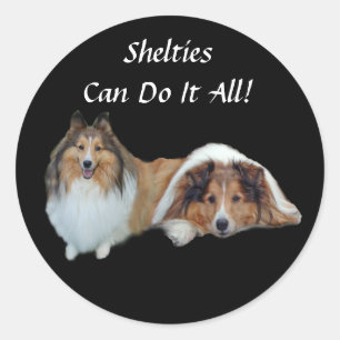 Sheltie Sticker