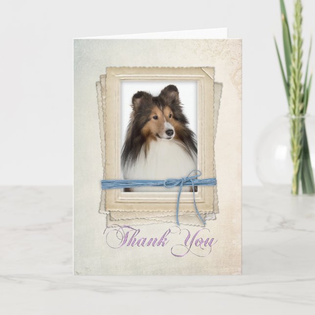 Sheltie Thank You Card (Front)