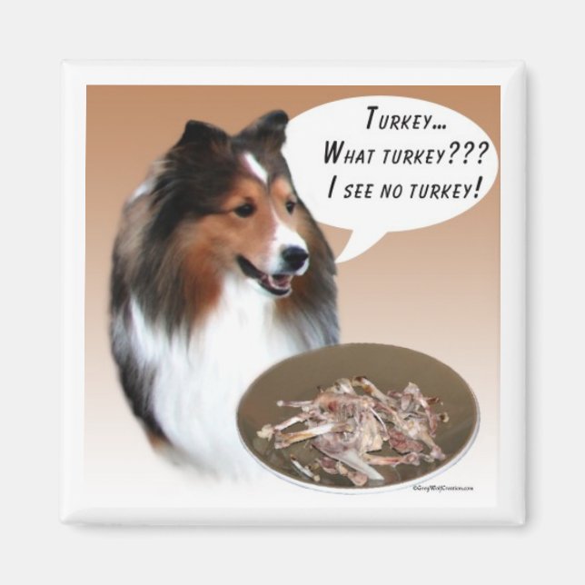 Sheltie Turkey Magnet (Front)