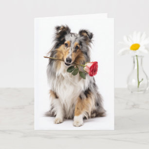 Sheltie Valentine Card