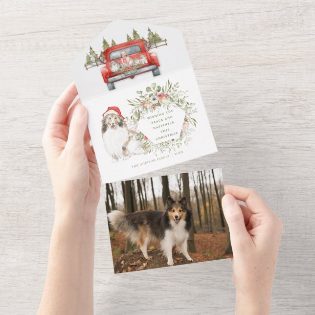 Shelties in Vintage Red Truck Photo Christmas Card (Tearaway)