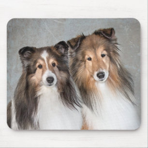 Shelties Mouse Pad