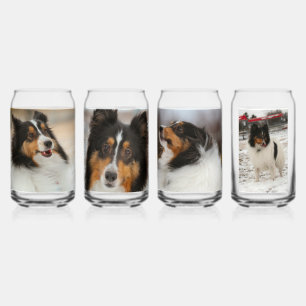 Shelty Can Glass