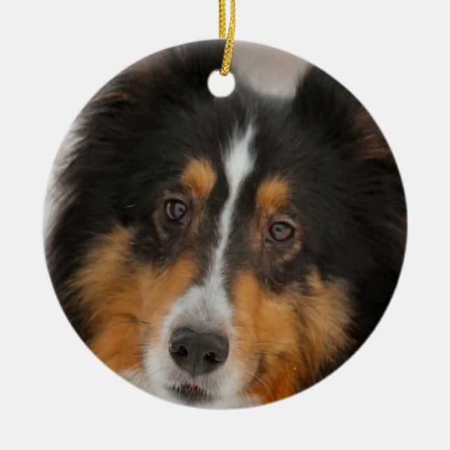 Shelty Ceramic Tree Decoration (Front)