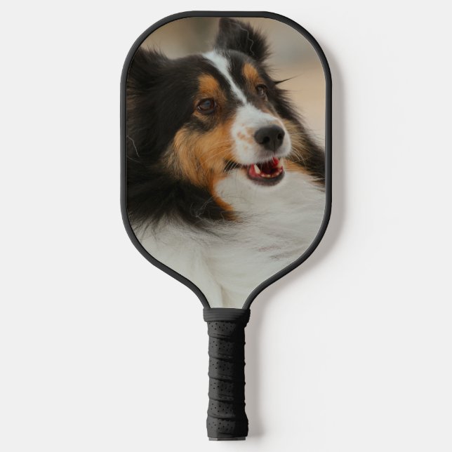 Shelty Pickleball Paddle (Front)